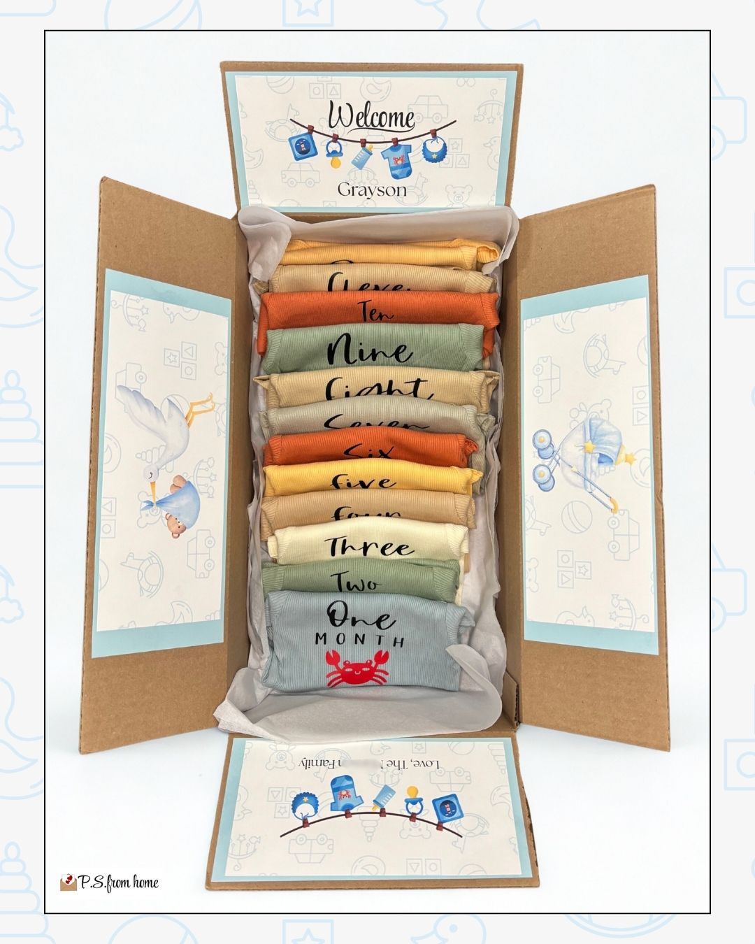 Welcome to the World • 12-Month Milestone Onesie Set (Newborn–12 Months)